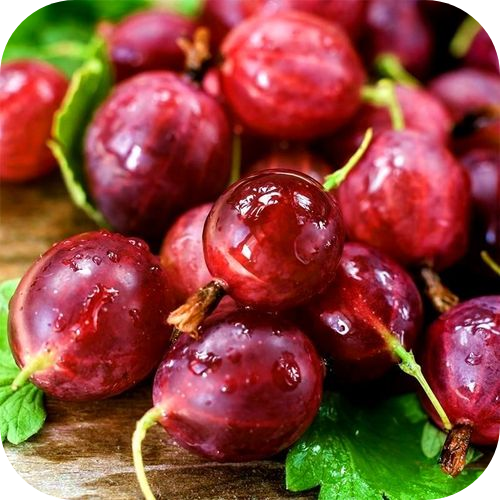 Крыжовник "Хиннонмаки Ред" 